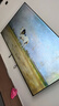 FFALCON雷鳥(niǎo)電視75英寸 75鵬7 26款 高階VA全通道288Hz HDMI2.1 94%P3色域 靈控系統 平板電視機 75S78A 曬單實(shí)拍圖