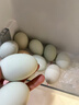 咸鴨蛋正宗高郵咸鴨蛋古法腌制流油起沙新鮮裸咸鴨蛋非真空包裝 60-70g[裸蛋非真包裝] 10枚 曬單實(shí)拍圖