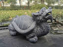 青石龍龜擺件石頭石雕龍龜石龜龍頭龜霸下駝龍鎮宅八卦吐水龍頭龜 精雕款長(cháng)20寬12高14厘米一只 曬單實(shí)拍圖
