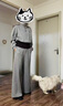 太平鳥(niǎo)【商場(chǎng)同款】 25秋季新款小蠻腰收腰衛衣長(cháng)褲組合A3GBF3353 鍛鐵灰（衛衣） M 160 曬單實(shí)拍圖