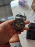 帝茲（DiziziD）手表男士機械表全自動(dòng)鏤空腕表夜光防水高中生學(xué)生禮物送男友 【全自動(dòng)機械機芯】黑殼黑面鋼帶 曬單實(shí)拍圖