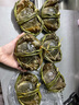 蘇州鮮活大閘蟹現貨鮮活禮盒螃蟹河蟹清水養殖產(chǎn)地直發(fā)特大公蟹 公蟹6兩6只裝 曬單實(shí)拍圖