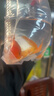 AIPHAROW金魚(yú)活魚(yú)獅子頭小型觀(guān)賞魚(yú)紅國獅冷水魚(yú)淡水魚(yú)小金魚(yú)苗活體 （優(yōu)質(zhì)）紅國獅5-7cm3條 曬單實(shí)拍圖