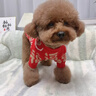嬉皮狗（hipidog）寵物衣服秋冬福祿滿(mǎn)滿(mǎn)新年兩腳毛衣狗狗貓咪比熊過(guò)年喜慶保暖服飾 福祿滿(mǎn)滿(mǎn) M（建議體重6-10斤） 曬單實(shí)拍圖