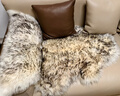溥畔北歐家用澳洲真羊毛絨羊皮地毯臥室房間客廳飄窗沙發(fā)整張地墊毛毯 銀色 雪狐毛皮色(皮毛一體) 70cm*100cm 一張羊皮1p 曬單實(shí)拍圖