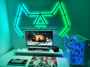 NANOLEAF奇光萬(wàn)物 三角奇光板家居電競房RGB氛圍燈可DIY拼接屏光同步墻面拾音律動(dòng)LED壁燈 曬單實(shí)拍圖