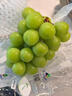 灃御園【順豐空運】韓國晴王陽(yáng)光玫瑰 香印青提進(jìn)口葡萄新鮮水果 【1整串】約1.7-1.8斤 精選大果 曬單實(shí)拍圖