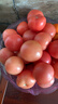 正宗攀枝花沙瓤西紅柿露天生吃粉果番茄新鮮采摘非普羅旺斯西紅柿 凈重中果【80-120克】 5斤 曬單實(shí)拍圖