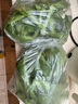 【送沙拉醬】新鮮冰草冰菜沙拉菜火鍋即食生吃生菜送沙拉醬西餐廳 新鮮冰草1斤 曬單實(shí)拍圖