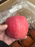 比春紅蘋(píng)果可以帶皮吃的安全健康蘋(píng)果 單果250克起 產(chǎn)地直發(fā) 一箱12枚 曬單實(shí)拍圖