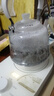 金灶（KAMJOVE）提梁式電茶壺煮茶器 玻璃電熱水壺養生壺保溫一體煮水壺0.8L燒水壺A-66 曬單實(shí)拍圖