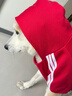 曇蓓漫狗狗衣服中大型犬金毛冬季加厚裝拉布拉多柯基加絨保暖過(guò)年衛衣 紅色-中國年獸[2腳衣] 6XL（建議40斤左右） 曬單實(shí)拍圖
