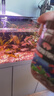 奈寵魚(yú)食小型魚(yú)糧仿紅蟲(chóng)魚(yú)飼料緩沉發(fā)色六角恐龍孔雀魚(yú)小金魚(yú)通用飼料 【高蛋白 緩沉】仿紅蟲(chóng)魚(yú)糧 約220g 2~15cm小魚(yú)通用【主料魚(yú)粉蝦粉】 曬單實(shí)拍圖