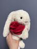 Jellycat乳白色懷抱玫瑰邦尼兔毛絨禮物玩偶2026情人節新品新年生日禮物 乳白色懷抱玫瑰邦尼兔 Medium 曬單實(shí)拍圖