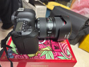 佳能（Canon）EOS 6D Mark II 6D2全畫(huà)幅 專(zhuān)業(yè)單反相機 L級24-105標準鏡頭套裝（約2620萬(wàn)像素/4K延時(shí)視頻短片） 曬單實(shí)拍圖