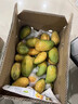 顧果鮮海南小臺農芒果小臺芒新鮮當季熱帶孕婦水果現摘甜心小芒果生鮮 3斤凈重2.8斤 【大果裝】 曬單實(shí)拍圖
