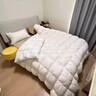 出品羽絨被匈牙利A類(lèi)95白鵝絨防跑絨被子全棉被 純潔白面包款 羽絨被白鵝絨 150x200cm   充絨950g 曬單實(shí)拍圖