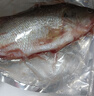 淡水鱸魚(yú)新鮮冷凍鮮活海鮮水產(chǎn)清蒸鱸魚(yú)超大條淡水鱸魚(yú)現殺真空 鱸魚(yú)凈重6-7兩一條 曬單實(shí)拍圖