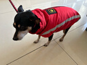 拉維佩特（LOVINGPET）狗狗衣服大型犬 保暖金毛狗衣服冬季柯基拉布拉多狗衣服中型犬 紅色 XL 建議15-19斤 曬單實(shí)拍圖