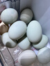 咸鴨蛋正宗高郵咸鴨蛋古法腌制流油起沙新鮮裸咸鴨蛋非真空包裝 60-70g[裸蛋非真包裝] 10枚 曬單實(shí)拍圖