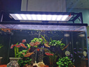 尼特利（NETLEA） 水草燈尼特利at5s魚(yú)缸燈 爆藻燈全光譜 【W(wǎng)IFI版】545S【45~60cm缸，可調光譜】 曬單實(shí)拍圖