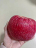 正宗陜西陜北延安山地蘋(píng)果洛川紅富士無(wú)農藥不打蠟孕幼放心吃冰糖 90mm以上  5斤 曬單實(shí)拍圖