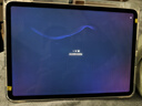Apple蘋(píng)果ipad9/10/Pro2022/21/20款 /air6/mini6/5二手平板電腦 21款iPad Pro 3代 11英寸 曬單實(shí)拍圖