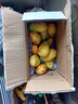 海南小臺農芒果 時(shí)令新鮮水果當季整箱應季熱帶特產(chǎn) 小臺農芒果凈重3斤單果70g+ 曬單實(shí)拍圖