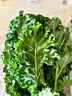 旭耕有機羽衣甘藍 生鮮新鮮蔬菜沙拉榨汁西餐嫩葉有機農場(chǎng)直發(fā)順豐 1000g 曬單實(shí)拍圖