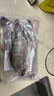 環(huán)球水產(chǎn)三去羅非魚(yú)2.8斤/共4條 免處理去鱗去鰓去內臟 魚(yú)類(lèi) 烤魚(yú)燒烤食材 曬單實(shí)拍圖