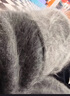 美洋（MEIYANG）布偶羊絨開(kāi)衫 百分山羊絨拉絨羽感立領(lǐng)寬松針織衫 灰色 M 曬單實(shí)拍圖