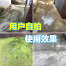 昊威（HOWE）青苔去除劑5斤水泥地面專(zhuān)用青苔克星墻面苔蘚藻類(lèi)青苔殺除清除劑 曬單實(shí)拍圖