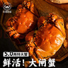 【活蟹】陽(yáng)澄逍遙大閘蟹鮮活螃蟹禮盒河湖海鮮公4.7-5.0母3.7-4.0兩5對10只源頭直發(fā) 曬單實(shí)拍圖