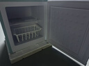志高（CHIGO）小冰箱迷你復古小型立式冷柜冰柜 家用全冷凍儲存母嬰母乳冷冰柜囤貨速凍 節能輕音 50L復古藍【溫度電顯款】 曬單實(shí)拍圖