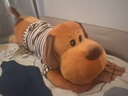 惠妮寶貝毛絨玩具狗狗玩偶大號趴趴狗公仔女生長(cháng)條睡覺(jué)大抱枕生肖狗布娃娃 棕白 90厘米 曬單實(shí)拍圖