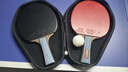 雙魚(yú)九星專(zhuān)業(yè)級乒乓球拍比賽碳素維七星八星高彈乒乓球拍孫穎莎王楚欽 競技高彈級9星【橫拍雙拍】 曬單實(shí)拍圖
