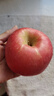 十月的味道2月16停發(fā)順豐2025國家地標正宗棲霞紅富士蘋(píng)果鑒賞級鉑金果水果 18個(gè)10斤鑒賞級條紋果85-90mm 曬單實(shí)拍圖