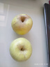 京地達山東青森水蜜桃雀斑美人王林蘋(píng)果凈重5斤單果200g+源頭直發(fā)包郵 曬單實(shí)拍圖