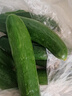 壽光水果黃瓜山東時(shí)令果蔬小青瓜蔬菜火鍋食材清脆爽口產(chǎn)地直發(fā) 水果黃瓜帶箱5斤【劃算】 曬單實(shí)拍圖