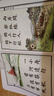 【官方正版抖音同款】青葫蘆晨誦午讀暮省 每日晨讀民國課本精選 30冊葉圣陶大字注音版 【套裝共30冊】晨誦+午讀+暮省-民國課本系列 曬單實(shí)拍圖