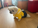 憨憨寵寵物狗狗衣服 狗衣服中小型犬泰迪衣服冬季加絨加厚背帶褲貓衣服 黃色背帶褲XL號推薦13-16斤寵物 曬單實(shí)拍圖