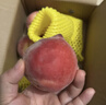 順豐特大果春雪水蜜桃新鮮桃子水果脆甜毛桃應季孕婦次日達 3斤【特大果丨單果150g+】 曬單實(shí)拍圖
