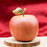 乾簡(jiǎn)純黃銅蘋(píng)果家居擺件客廳辦公室吉祥裝飾品平安果工藝品圣誕節禮物 （國光）純黃銅蘋(píng)果擺件 曬單實(shí)拍圖