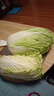 【東東買(mǎi)菜】新鮮水果大白菜去老葉口感脆甜沙拉涼拌炒菜火鍋燉菜 水果大白菜3斤 曬單實(shí)拍圖