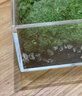 一片草坪苔蘚盒盆栽綠植室內好養治愈桌面迷你創(chuàng  )意苔蘚微景觀(guān)擺件 小號草坪+小兔子+森林卡片 不含盆 曬單實(shí)拍圖