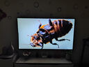 FFALCON雷鳥(niǎo)鶴6 26款 85英寸 萬(wàn)象分區QD-MiniLED1300nits 高階VA安橋音響288Hz高刷 平板游戲電視85R69A 曬單實(shí)拍圖