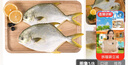 仙泉湖三去白蕉海鱸魚(yú)1斤/條凈膛冷凍刺少肉厚珠海特產(chǎn)500g生鮮食材 曬單實(shí)拍圖