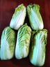云南高原黃心娃娃菜大白菜新鮮蔬菜包心菜黃心白菜脆甜 新鮮娃娃菜5斤 曬單實(shí)拍圖