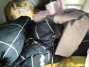 南極人冬季被子被芯+被套單人加厚棉被秋冬被褥全套一整套宿舍冬天蓋被 海豚灣【親膚保暖 可拆洗】 150x200cm被套+4斤被芯 曬單實(shí)拍圖