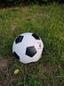 361°足球4號機縫足球中小學(xué)教學(xué)訓練室內外比賽足球 經(jīng)典款 曬單實(shí)拍圖